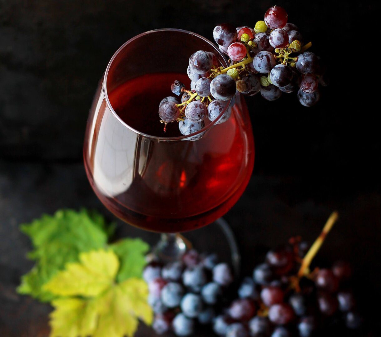 Dégustation vin Dijon