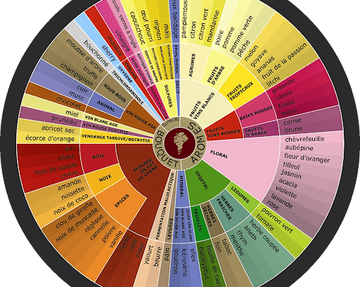 décrire un vin avec familles d'arômes