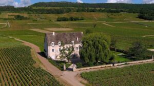 lieux d'exception pour déguster les vins de Bourgogne Maison dans vigne de puligny