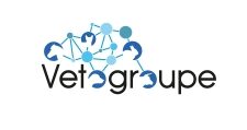 Veto-groupe