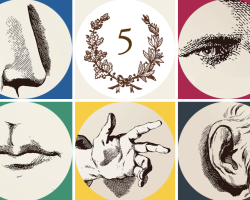 Bouton de lien vers section prestation rallye des 5 sens.