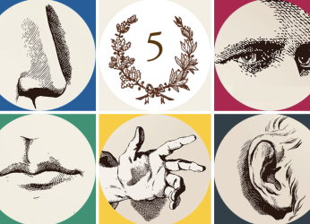 Bouton de lien vers section prestation rallye des 5 sens.