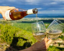 Bouton de lien vers section dégustations-promenades dans les vignes.