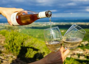 Bouton de lien vers section dégustations-promenades dans les vignes.